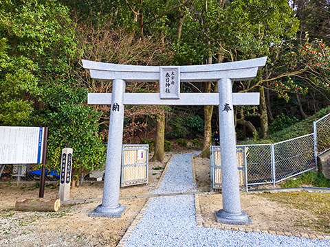 しゃくなげ参道